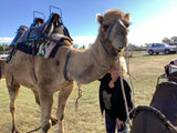 Camel Milk Soaps